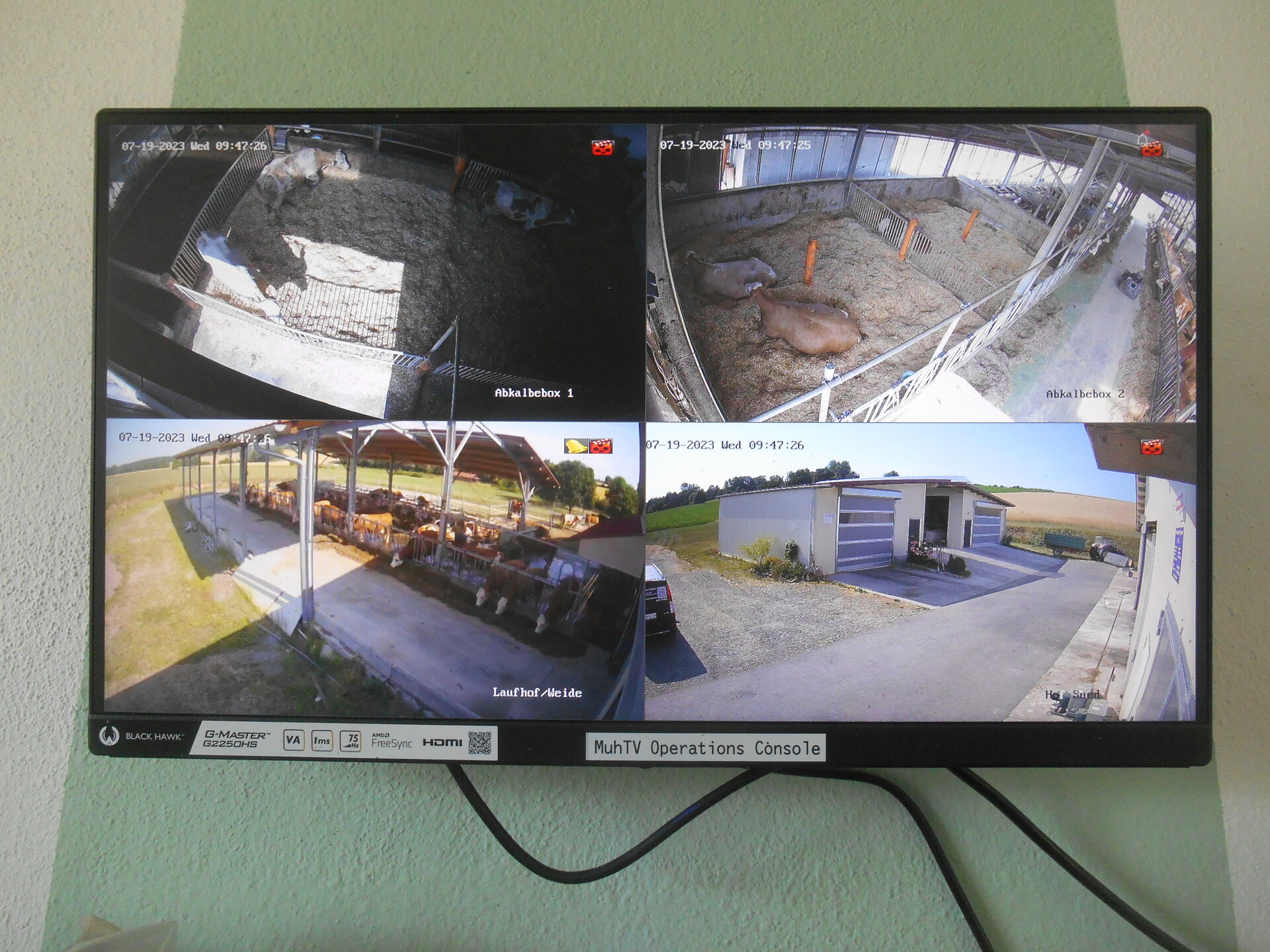 Detailbild des überwachungsmonitors im Stall, zeigt Mehrfachansicht verschiedener Kameras im Stall
